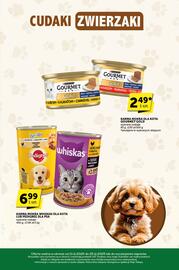 ABC gazetka | E-katalog Strona 33