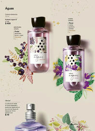 Catálogo Natura Página 61