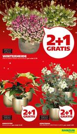 Ranzijn folder Pagina 4