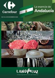 Folleto Carrefour Página 1