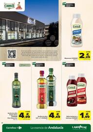 Folleto Carrefour Página 22