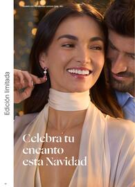 Folleto Yanbal Página 48