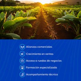 Catálogo Comfandi semana 46 Página 2