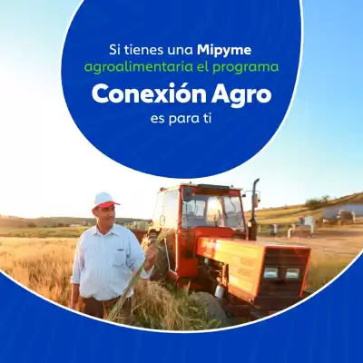 Catálogo Comfandi (válido hasta 15-11)