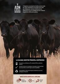 Catálogo Makro Página 2