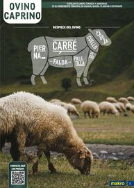 Catálogo Makro Página 31