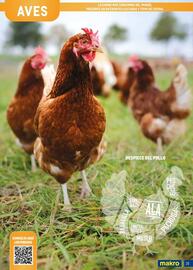 Catálogo Makro Página 39