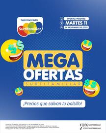 Catálogo Surtifamiliar Página 1