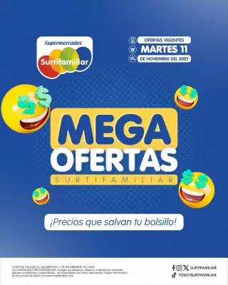Catálogo Surtifamiliar (válido hasta 11-11)