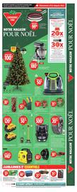 Canadian Tire flyer Page 1