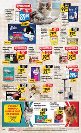 Albert leták týden 46 Strana 39