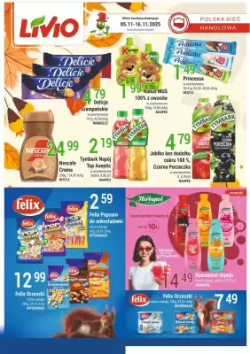 Livio gazetka (ważność do 16-11)