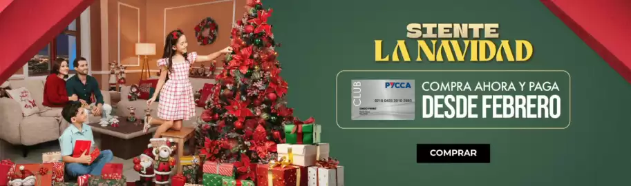 Catálogo Pycca Página 1