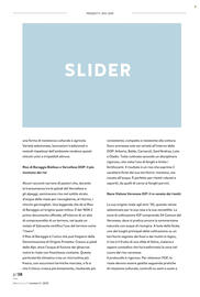 Volantino Coal | mi alimento Pagina 38