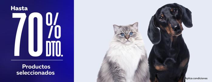 Catálogo Superpet semana 46 Página 1