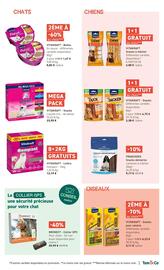 Tom&Co folder Pagina 2