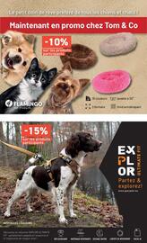 Tom&Co folder Pagina 4