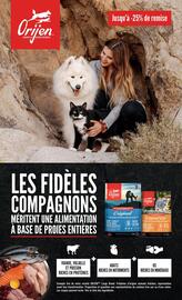 Tom&Co folder Pagina 7