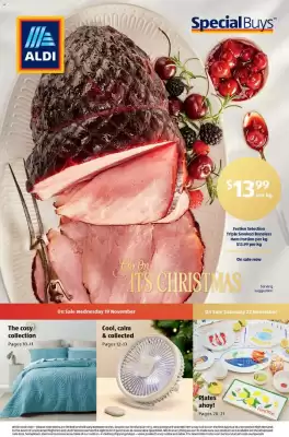 ALDI catalogue (valid until 25-11)
