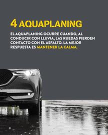 Folleto Rodi semana 46 Página 5