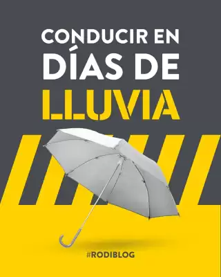 Folleto Rodi (válido hasta el 17-11)