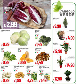 Volantino IperFamila Pagina 9