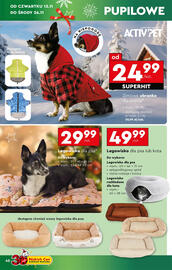 Biedronka gazetka Strona 46