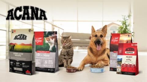 Media Expert gazetka Strona 602