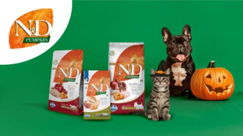 Media Expert gazetka Strona 605