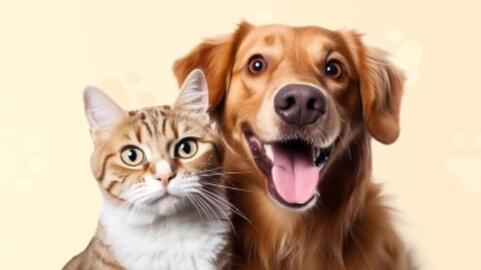 Media Expert gazetka Strona 606