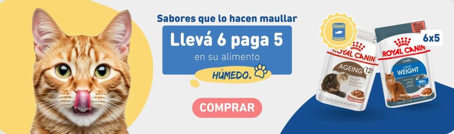 Catálogo Puppis semana 46 Página 3