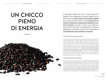 Volantino Supermercato Coal Pagina 21