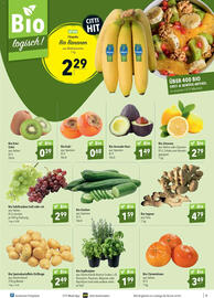 CITTI Markt Prospekt woche 46 Seite 7