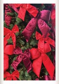 Oh Green folder Pagina 5