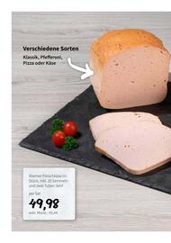 Der Grissemann Flugblatt Seite 8