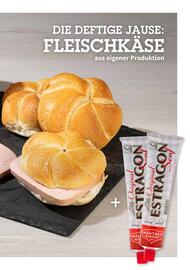 Der Grissemann Flugblatt Seite 9