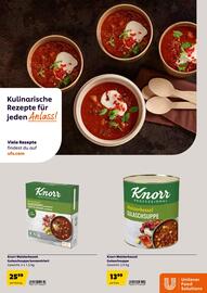 Eurogast Grissemann Flugblatt Seite 14