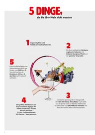 Eurogast Grissemann Flugblatt Seite 2