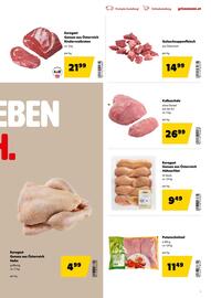 Eurogast Grissemann Flugblatt Seite 7