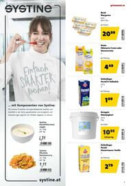 Eurogast Grissemann Flugblatt Seite 9