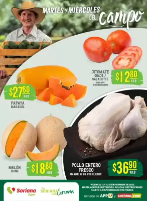 Catálogo Soriana Súper (válido hasta 13-11)