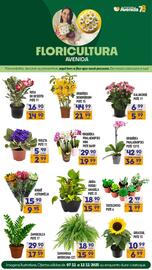 Catálogo Supermercados Avenida Página 9