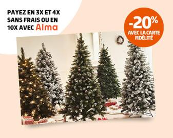 Catalogue Jardiland semaine 46 page 10