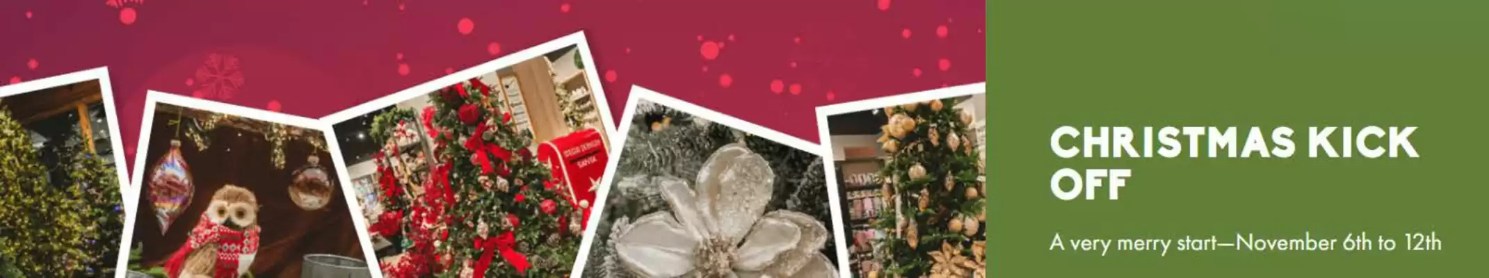 Sheridan Nurseries flyer (valid until 12-11)