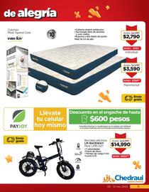 Folleto Chedraui semana 45 Página 9