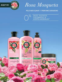 Catálogo Jumbo Página 2