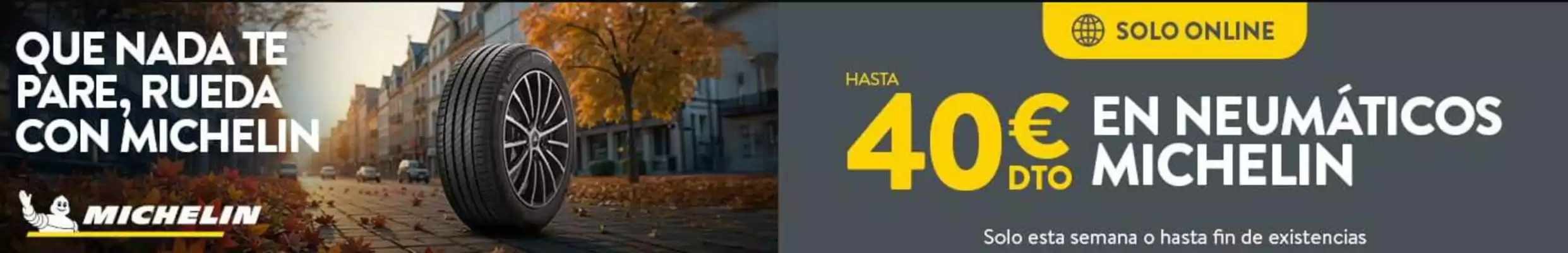 Folleto Rodi (válido hasta el 16-11)