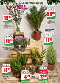 Dino gazetka tydzień 46 Strona 51