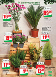 Dino gazetka tydzień 46 Strona 51