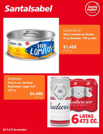 Catálogo Santa Isabel semana 46 Página 4